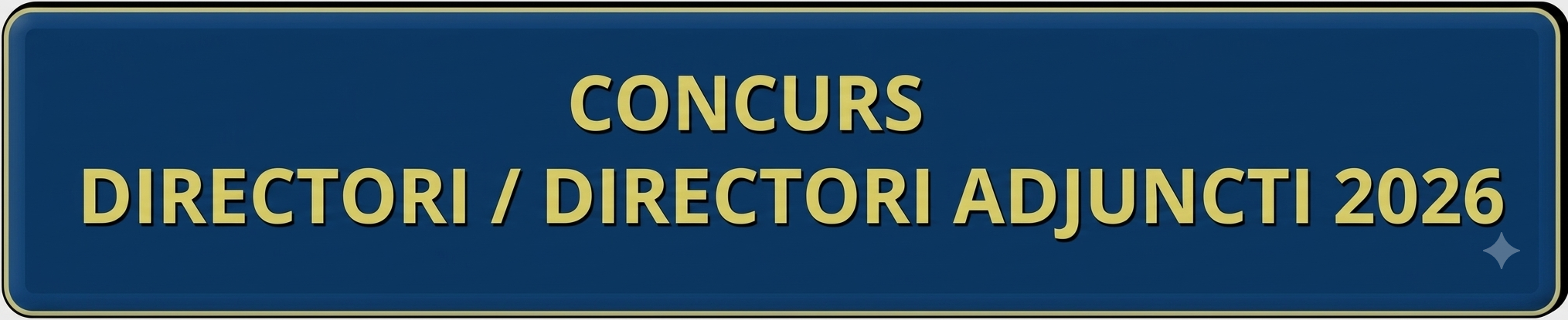 Concurs Directori